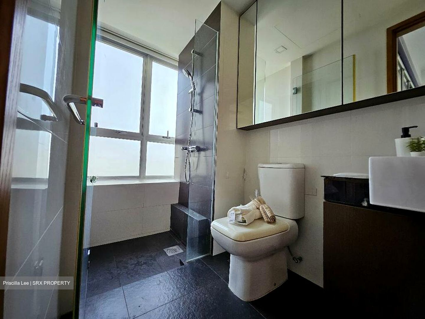 The Parc Condominium (D5), Condominium #498003451